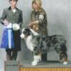 May 13, 2005 ... RRVASC,  my 1st asca show as a big boy ... BEST of WINNERS 5pts