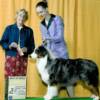 April '07 , PKC show , WD, BOW, BEST of BREED .. and sister China goes WB, BEST of OPPOSITE