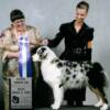 Mar 15, 2008 , RRVASC show , Breeder/Judge Dorothy Montano ... RESERVE WINNERS Dog to a 5pt major!  handled by:  Chelsea Ahmann  photo by:  Thomas Photography